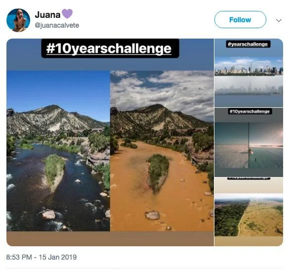 Environmental documentation of landscape changes over ten years.