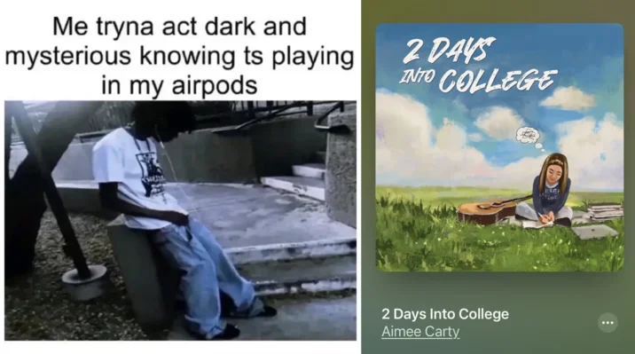 Album art meme: song became a cultural reference.