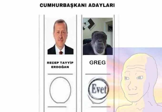 The primate variant: voting for anything over Erdoğan.