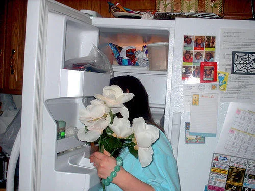 Creative obstruction: flowers hide the freeze.