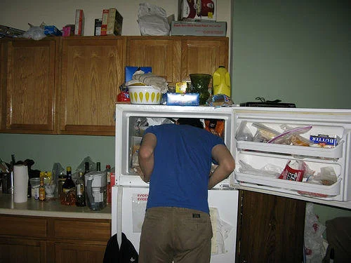 From behind: head fully inserted in freezer.