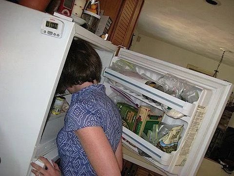 Household setting: typical kitchen freezer participation.