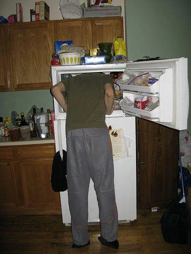 The core action: head in domestic freezer.