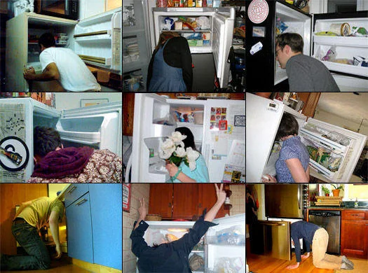 The collective challenge: nine heads in freezers.