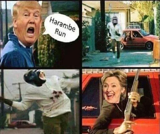 Political cringe: awkward meme mashup.