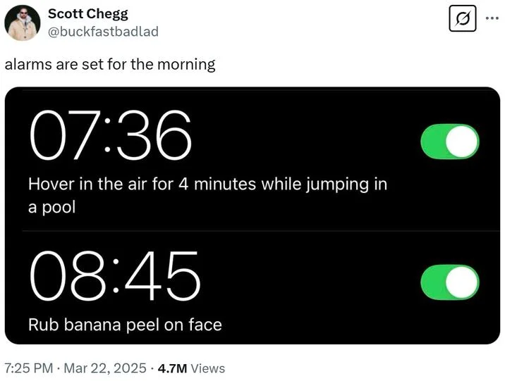 A joke tweet imagining daily alarms for the 7:36 am pool dive and other absurd meme routines.