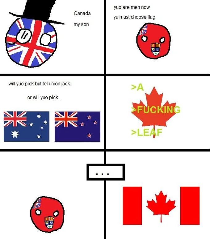 Flag comparison meme variant.