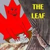 The iconic Canadian maple leaf.
