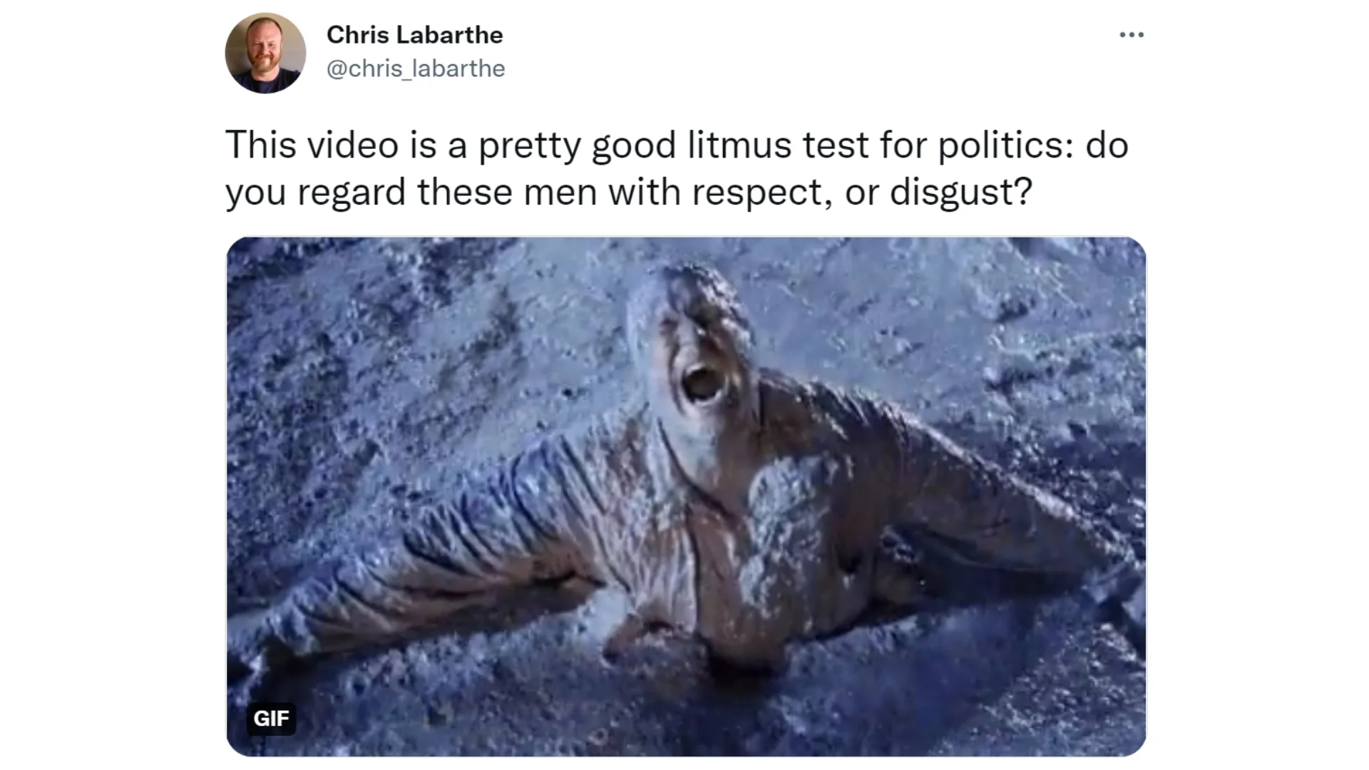 Chris Labarthe's tweet is widely credited as the origin of the 'pretty good litmus test for politics' meme format.