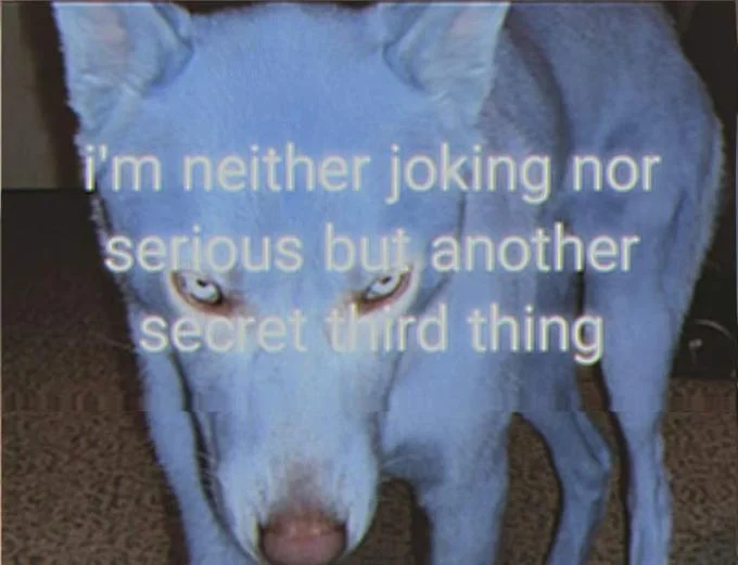 A popular 'secret third thing' image macro featuring an unsettling blue dog, expressing the meme's core idea of transcending binary options.