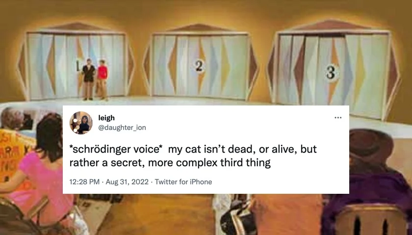 The originating tweet from @daughter_ion (August 31, 2022) that helped popularize the 'secret third thing' phrase, joking about Schrödinger's cat as being neither dead nor alive but 'a secret, more complex third thing.'