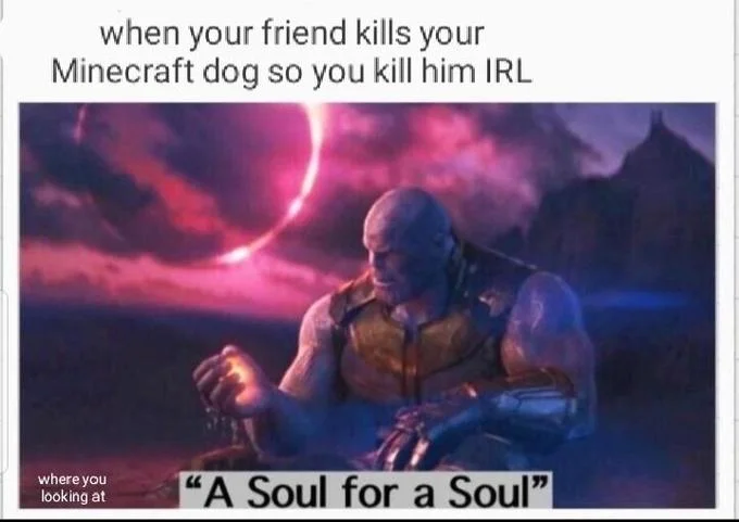 The 'A Soul for a Soul' template applied to escalating retaliation over a slain Minecraft pet.
