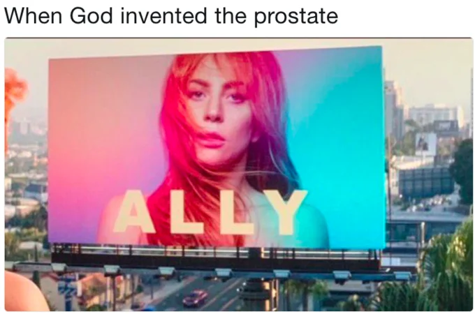 An irreverent meme using the Ally billboard to joke about anatomy and queerness, characteristic of the poster's viral remix culture.