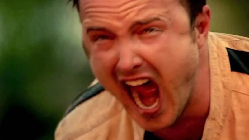 The original Breaking Bad screencap of Aaron Paul's Jesse Pinkman letting out an anguished scream, the source image of the meme.