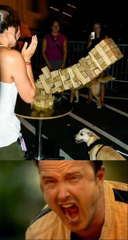 A two-panel reaction meme pairing a dog toppling a giant Jenga tower with Aaron Paul's horrified scream.
