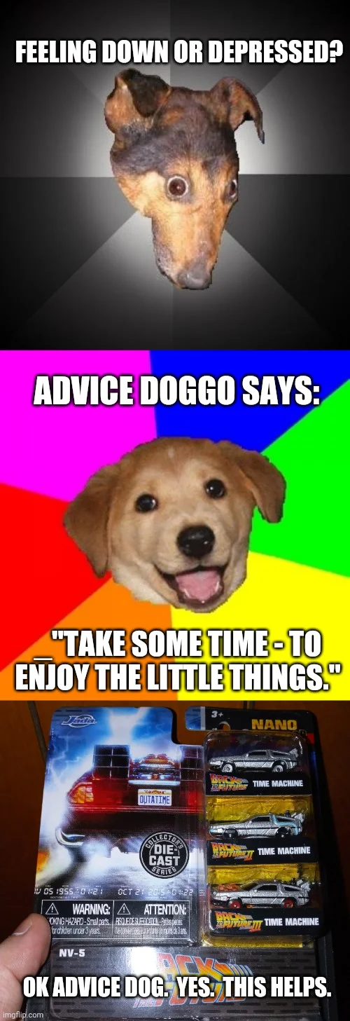 Advice Dog depression positive.