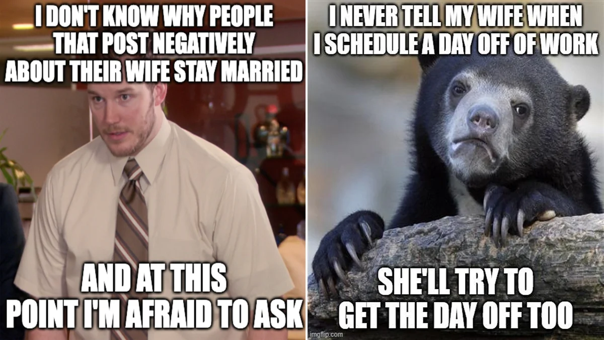 Chimpanzee marriage dynamics.
