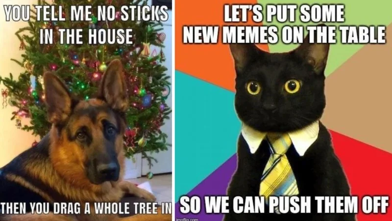 Advice Animals