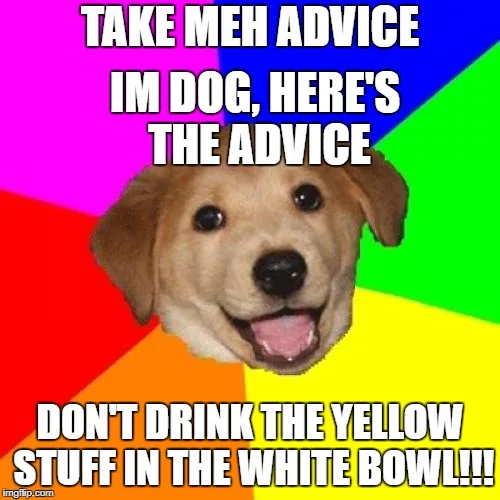 Advice Dog pet tips.