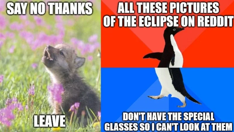 Advice Animals