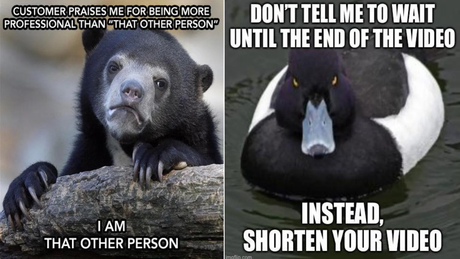 Advice Animals