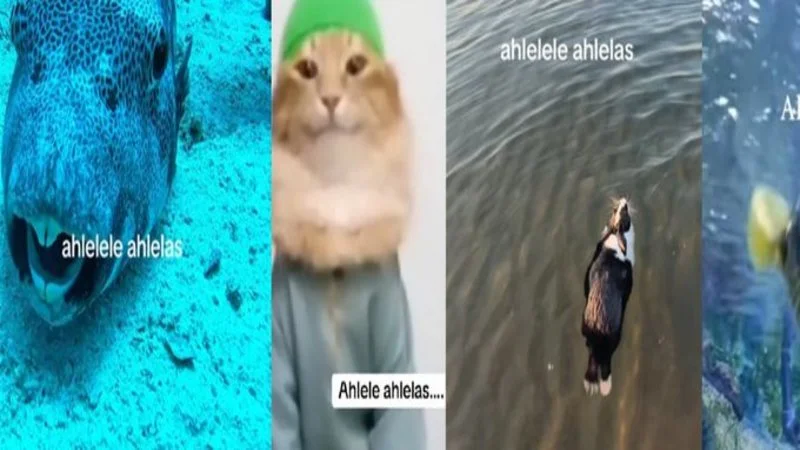 Ahlelele ahlelas 4-panel collage.