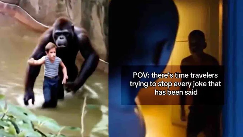 Time travelers interrupting Harambe.