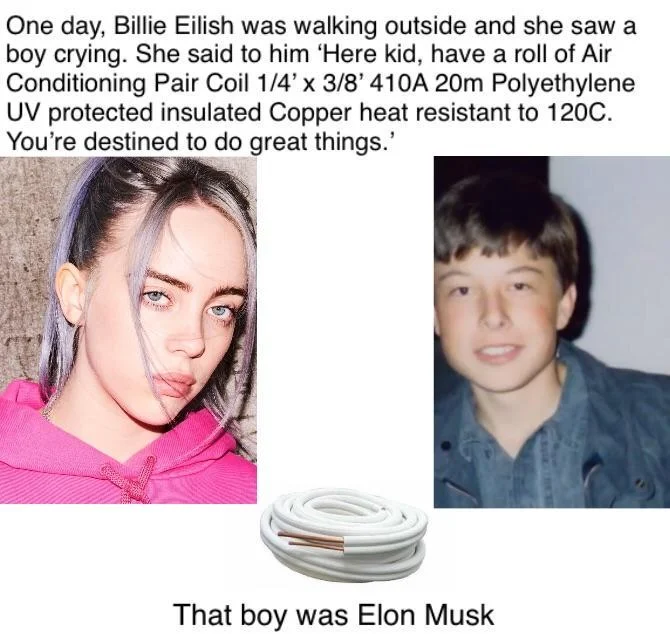 A copypasta meme parodying inspirational stories, replacing Einstein with Billie Eilish and Elon Musk.