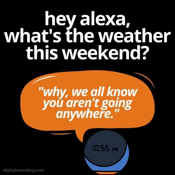 Amazon Echo speaker with speech bubble saying "why, we all know you aren't going anywhere"