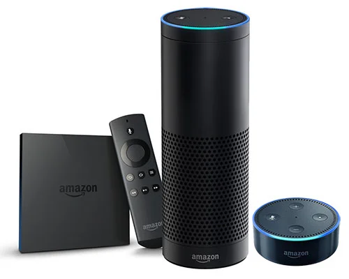 The Amazon Echo family of smart devices, which brought the Alexa voice assistant into millions of homes.