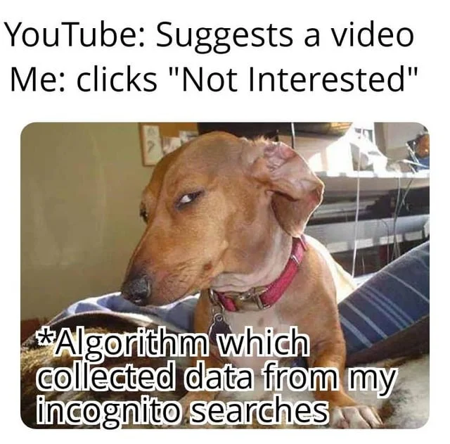 YouTube's algorithm knows your incognito browsing secrets.