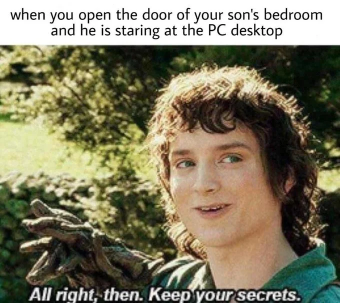 A parenting-themed variant using the Frodo template for the awkward moment of walking in on a teenager suddenly staring at their desktop.