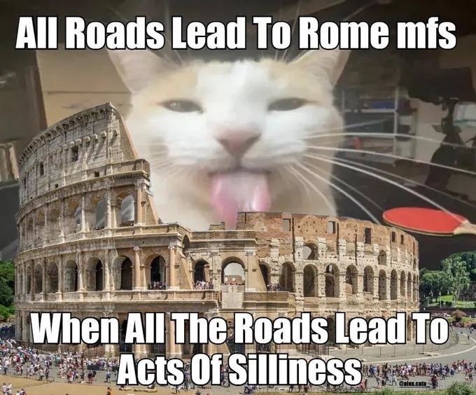 Gleeful cat Rome Coliseum.