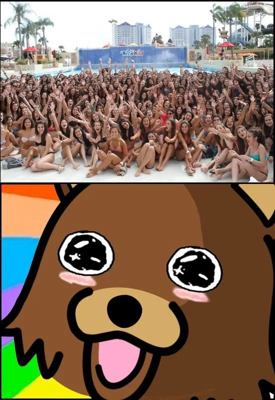 The 'Amazed Bear' variant combining Pedobear with the Amazed Face expression, reacting to a crowded pool party photo.
