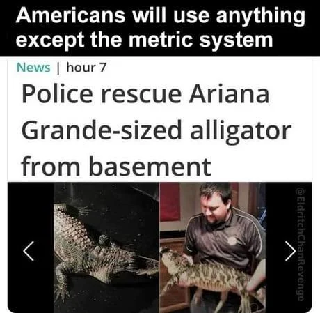 Ariana Grande alligator size.