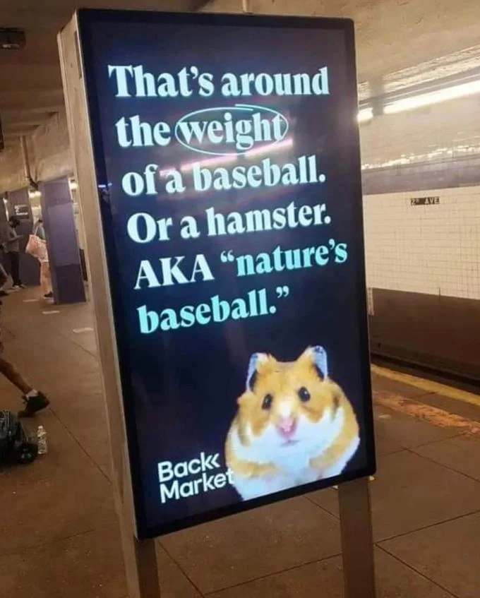 Baseball hamster weight.