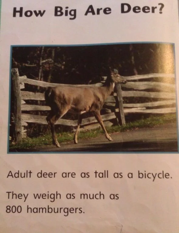 Deer hamburger measurement.