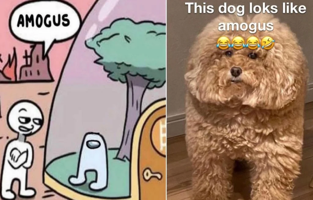 Dog looks like Amogus.