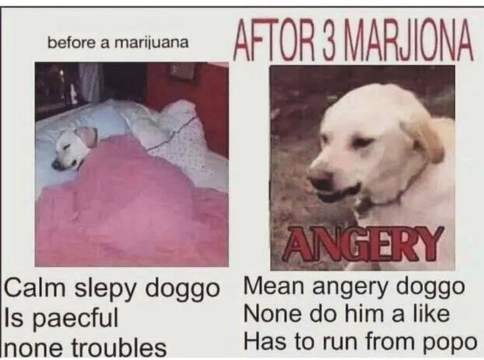 Meme man's profile with the username 'ANGERY'.