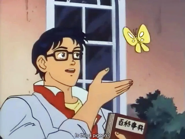 The original anime butterfly meme source image.