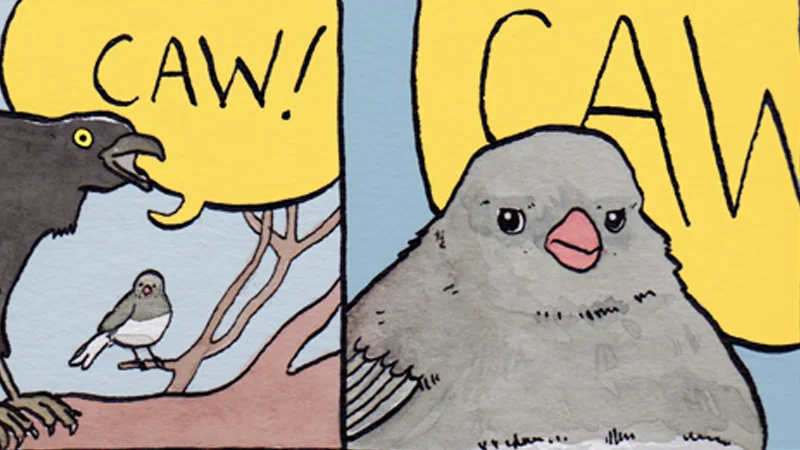 The iconic banner crop of False Knees' 'Annoyed Bird' comic, featuring the crow's loud CAW and the junco's exasperated reaction.
