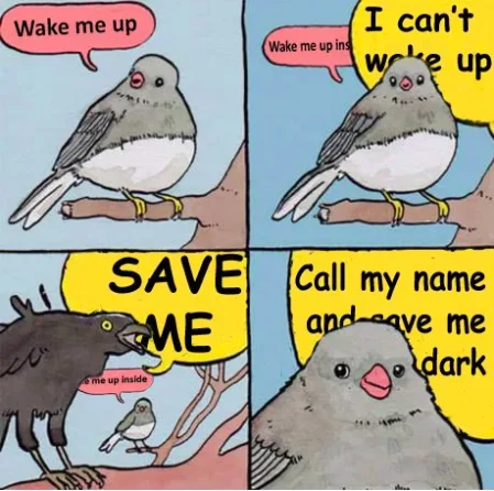 A remix pairing the template with Evanescence's 'Bring Me to Life', turning the crow into an emo screamer.