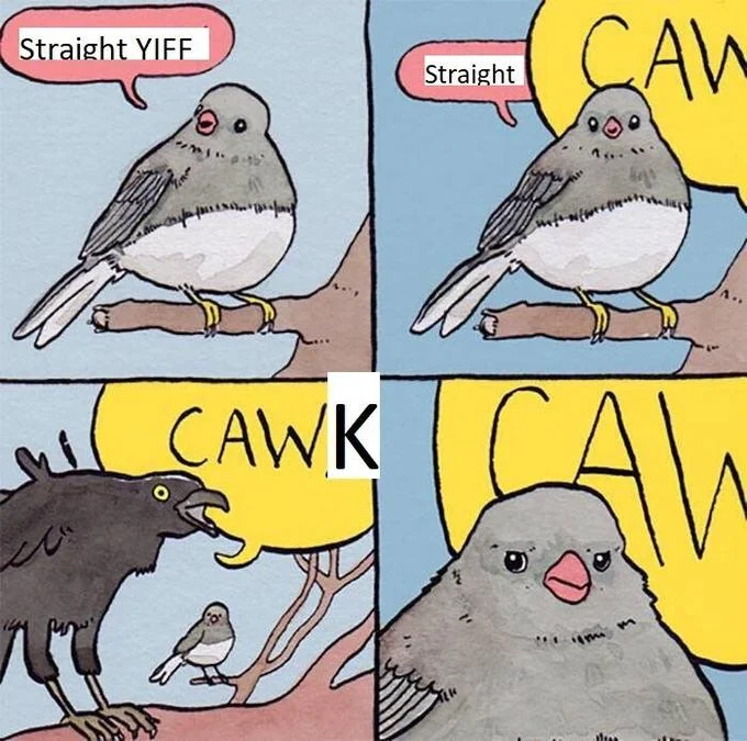 An early meme variant using the template to make a crude wordplay joke on the crow's 'CAW'.