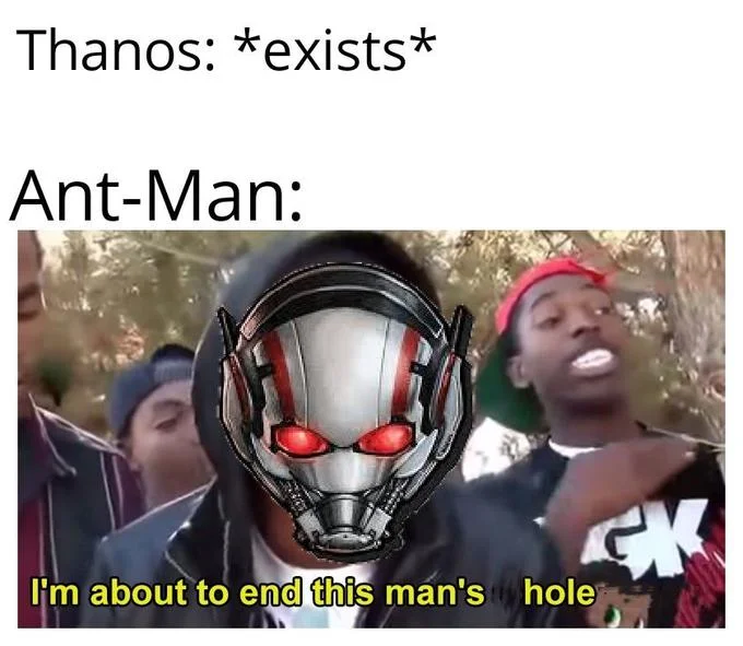 The popular 'end this man's whole career' meme format is remixed with Ant-Man declaring he'll 'end this man's hole' in reference to Thanos.