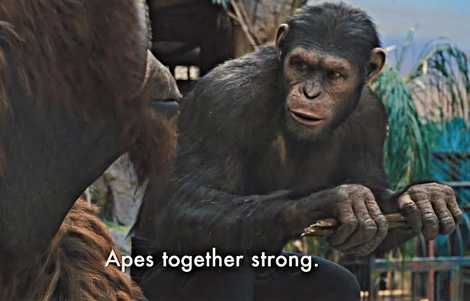 Clean Apes Together Strong template.