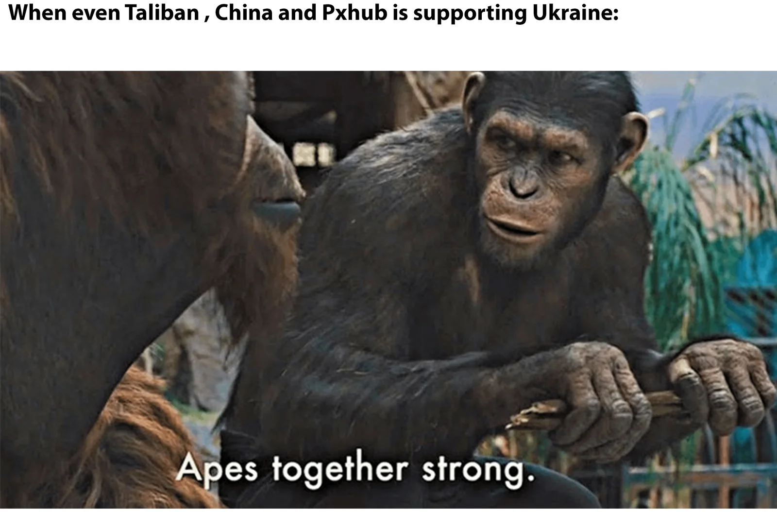 Unexpected geopolitical unity adaptation.