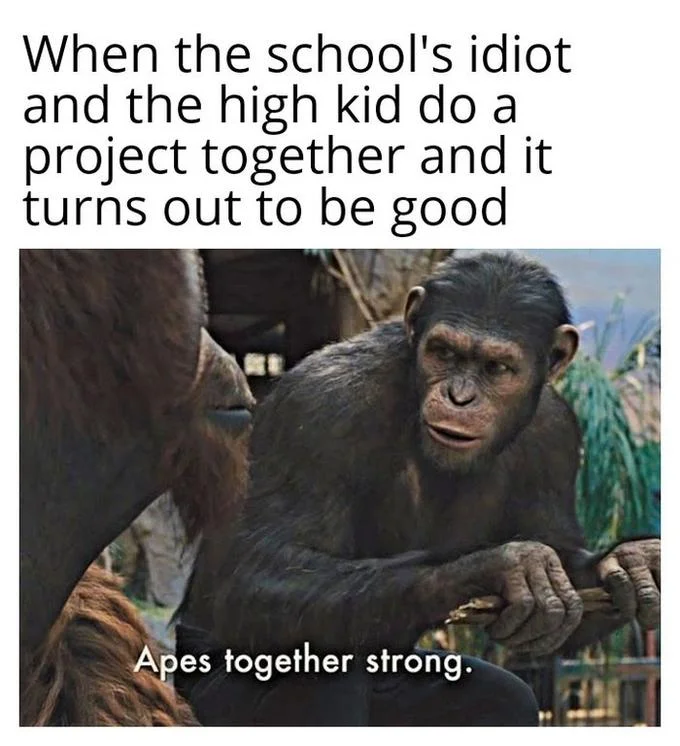Surprised success in diverse student collaboration.