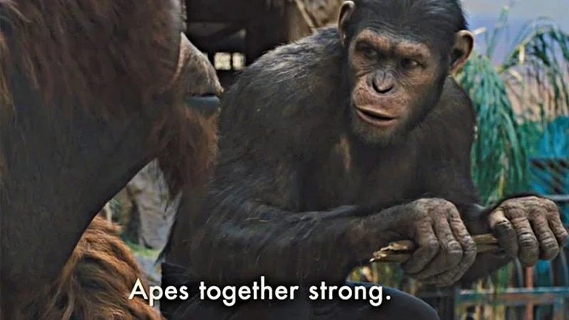 The definitive Apes Together Strong meme image.