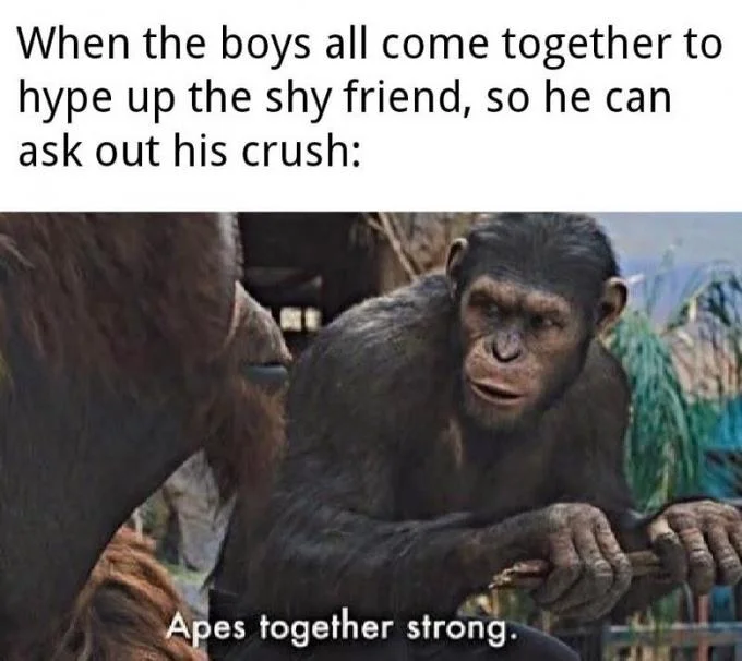 Group solidarity using Apes Together Strong format.