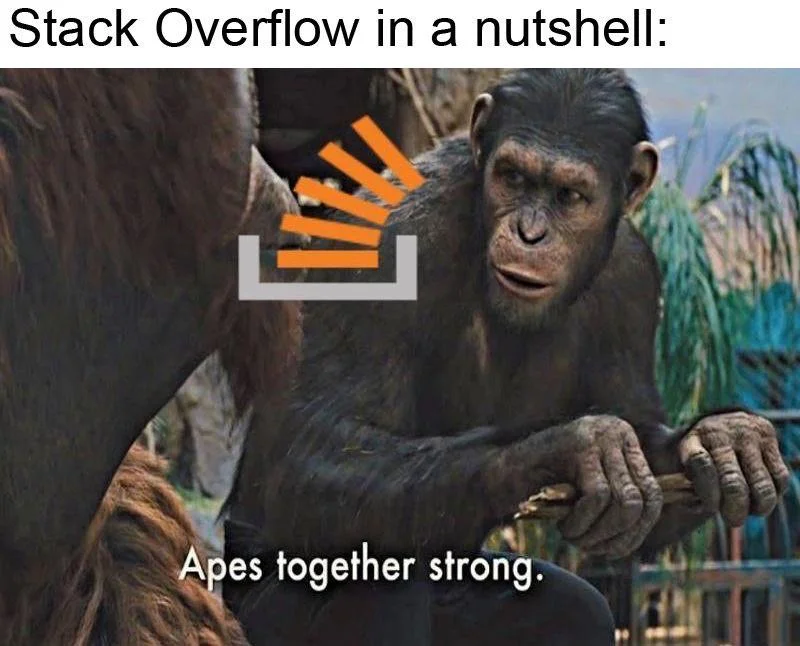 Stack Overflow programmer unity meme.